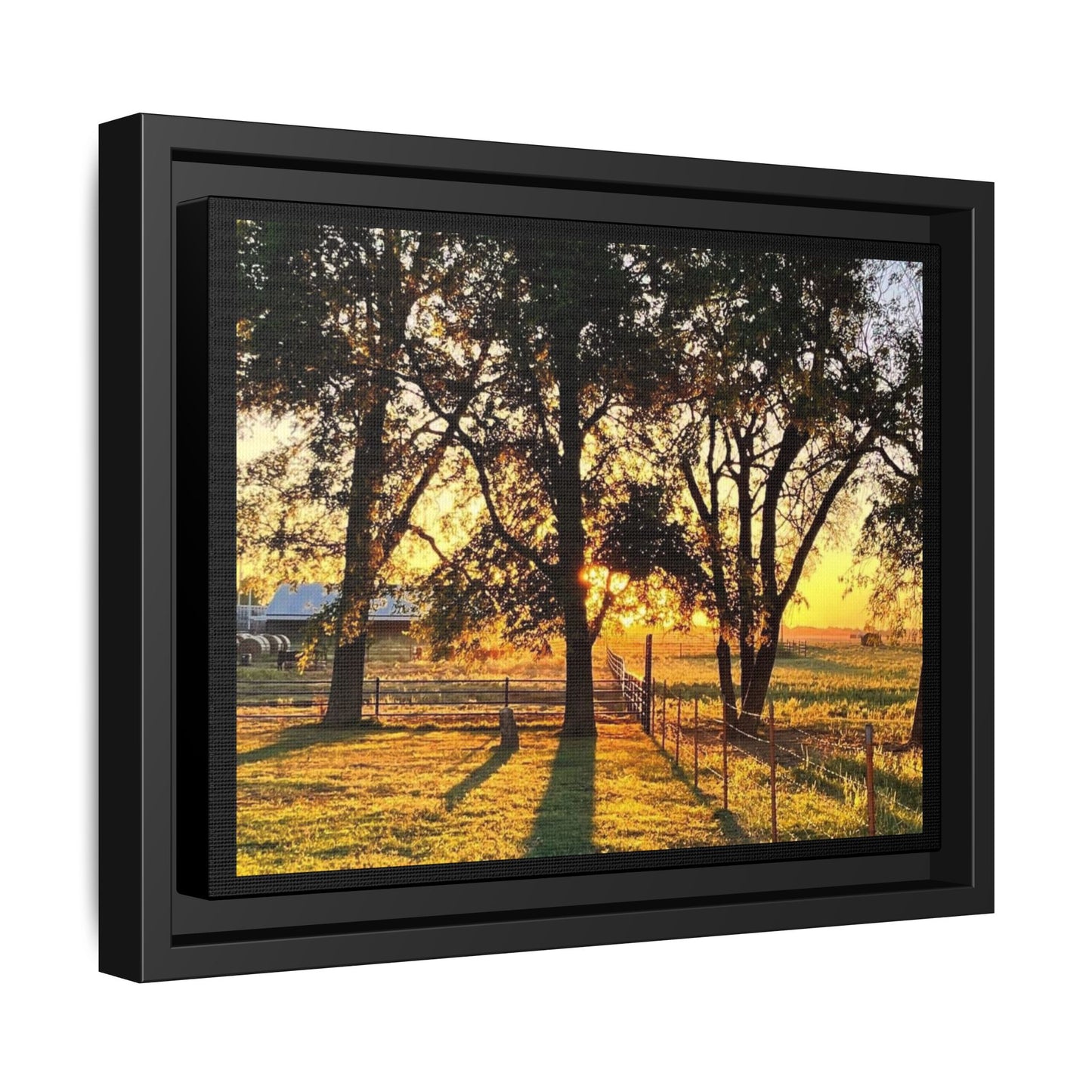 Framed Sunflower Canvas Print — Bright Floral Wall Art