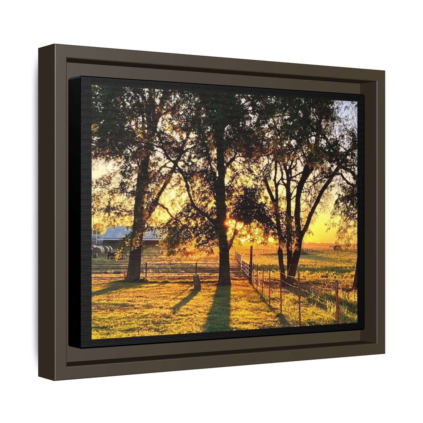 Framed Sunflower Canvas Print — Bright Floral Wall Art