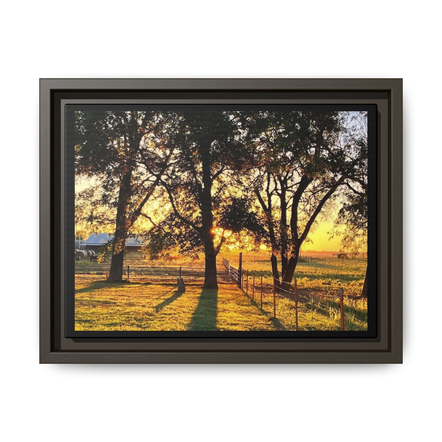 Framed Sunflower Canvas Print — Bright Floral Wall Art