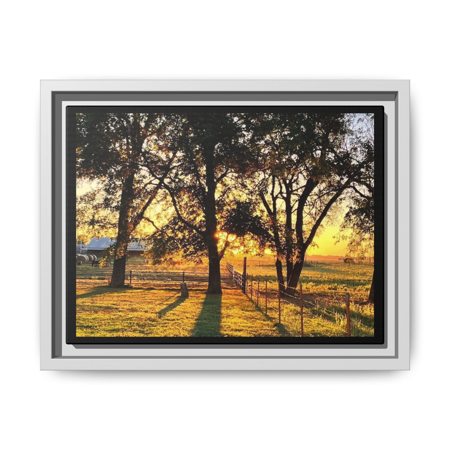 Framed Sunflower Canvas Print — Bright Floral Wall Art