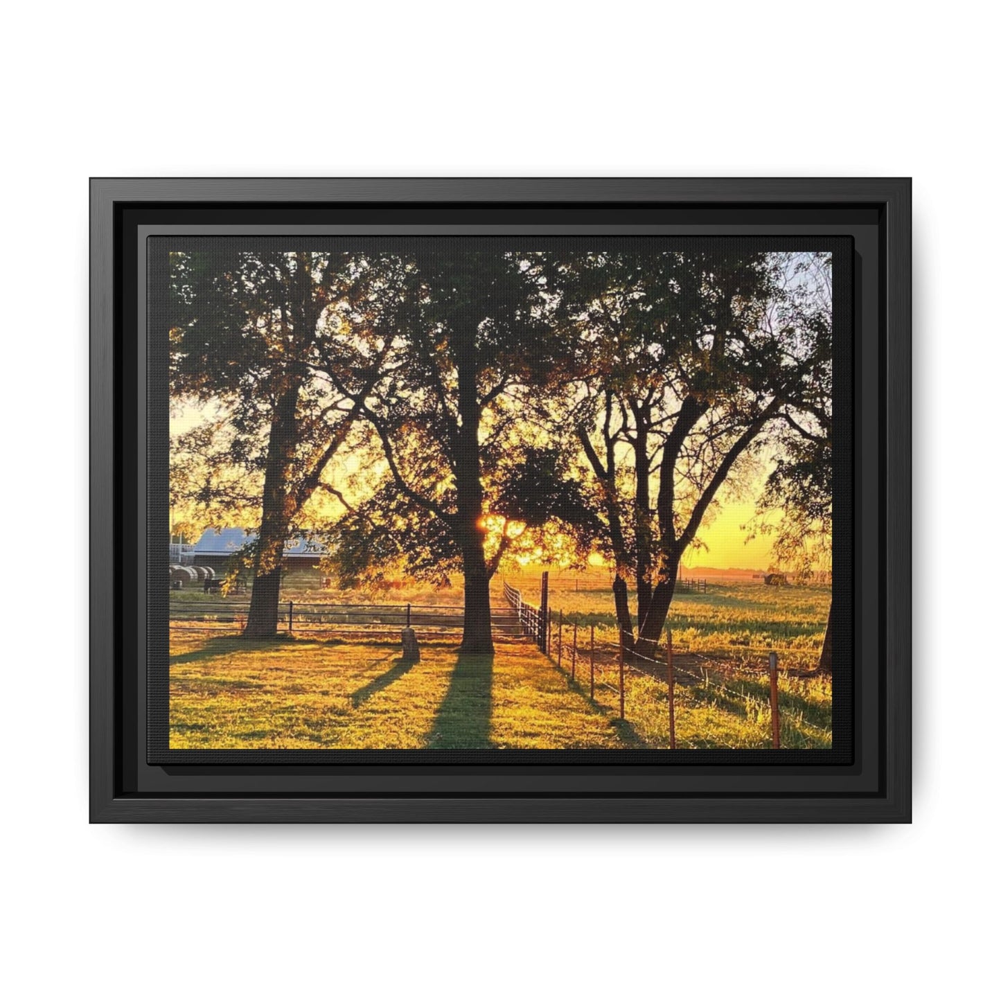 Framed Sunflower Canvas Print — Bright Floral Wall Art