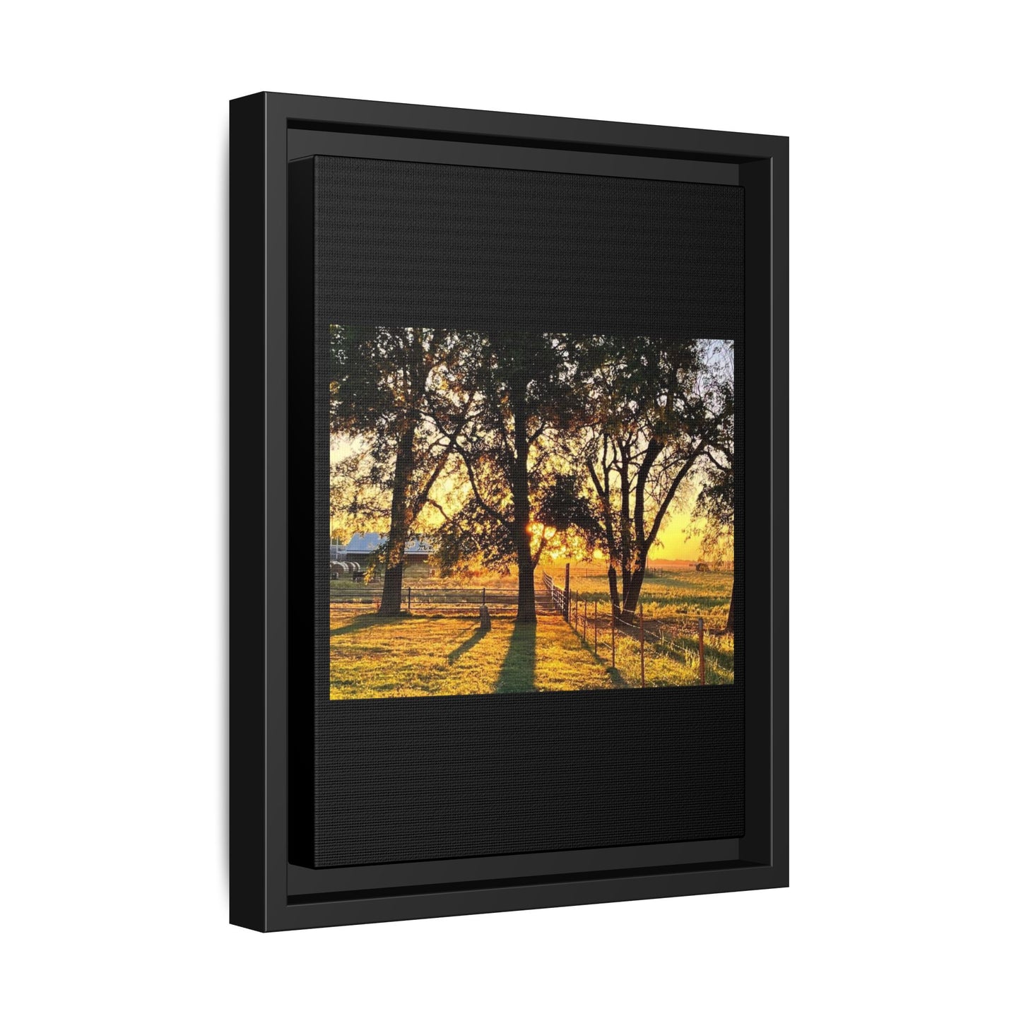 Framed Sunflower Canvas Print — Bright Floral Wall Art