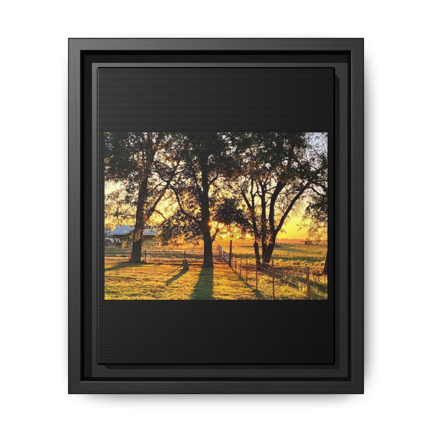Framed Sunflower Canvas Print — Bright Floral Wall Art