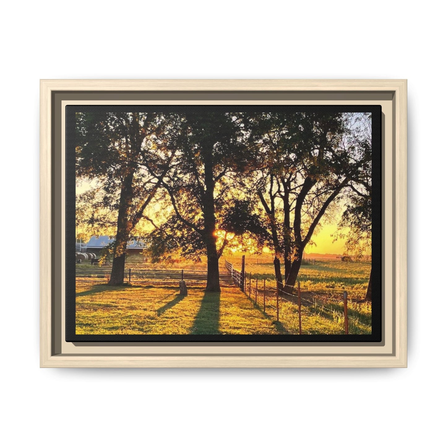 Framed Sunflower Canvas Print — Bright Floral Wall Art