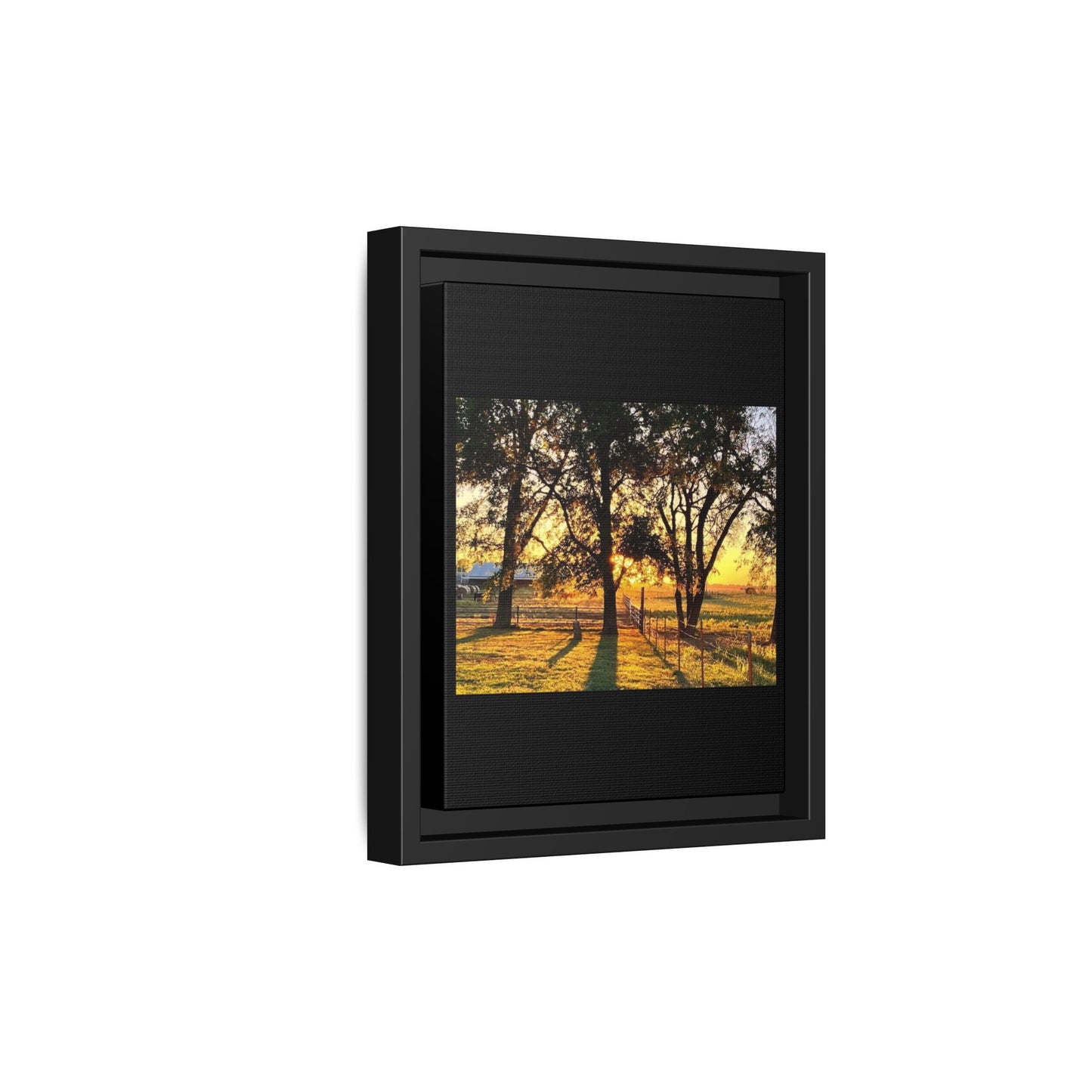 Framed Sunflower Canvas Print — Bright Floral Wall Art