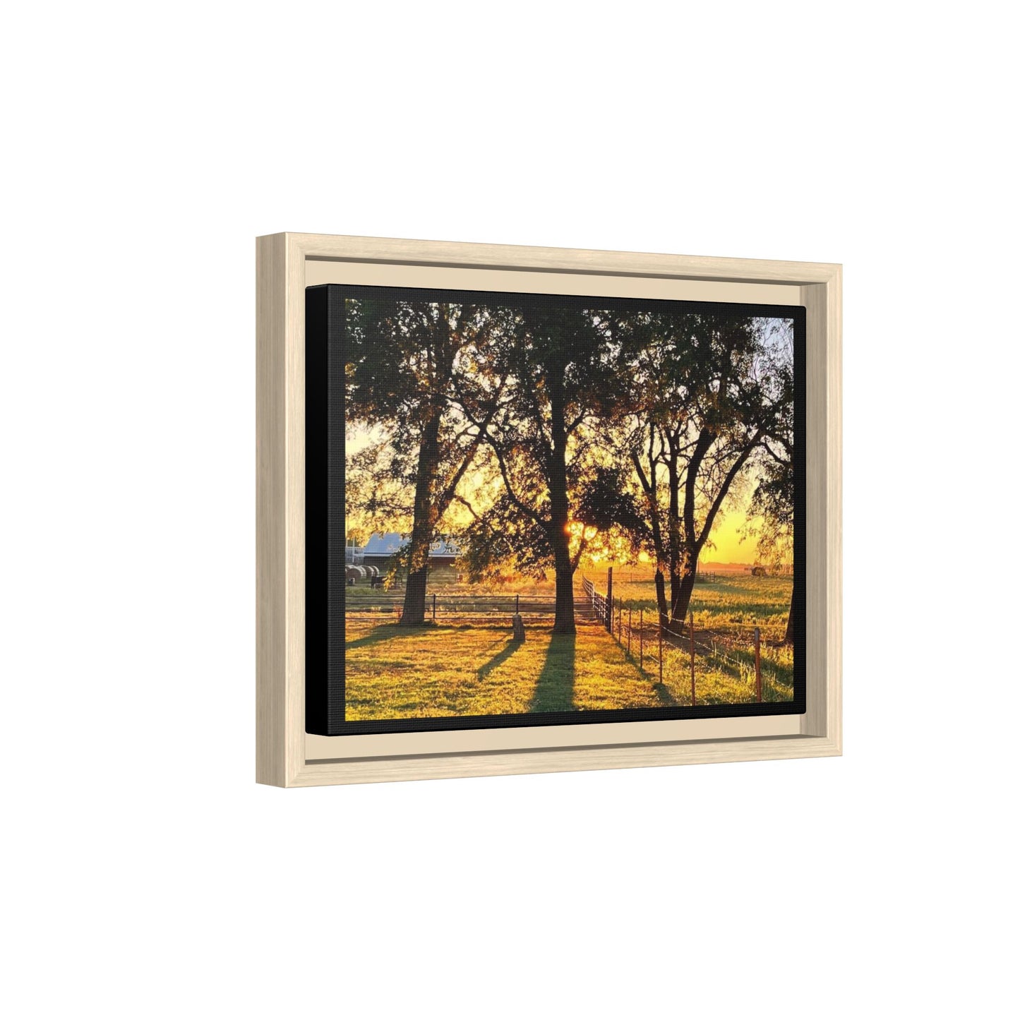 Framed Sunflower Canvas Print — Bright Floral Wall Art