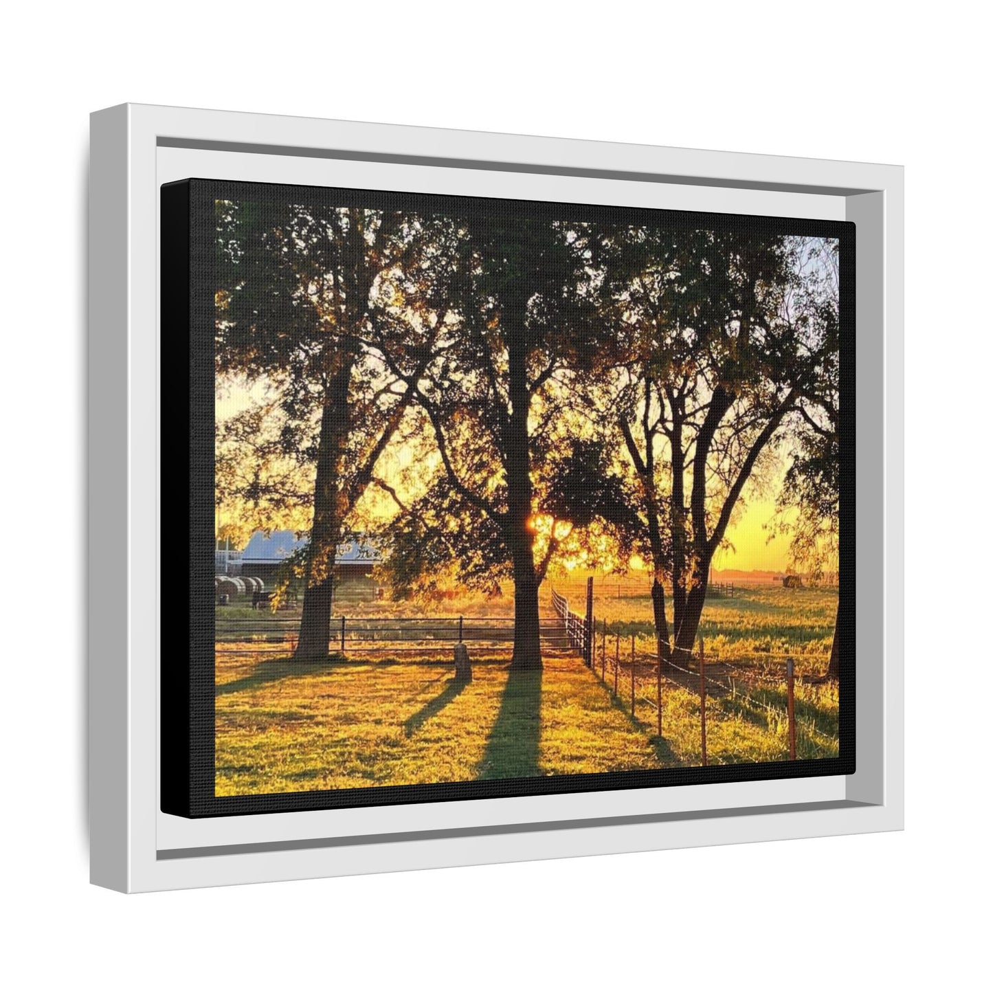 Framed Sunflower Canvas Print — Bright Floral Wall Art
